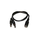 Rupert Neve Designs Y-Splitter Power Cable for Portico 5100 Power Supply
