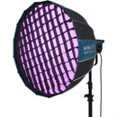 Nanlite FS-300B Bi-Color LED Monolight (Softbox 2-Light Kit)