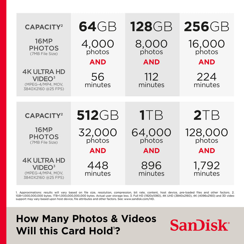 SanDisk 256GB GamePlay UHS-I microSDXC Card