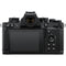 Nikon Zfc Mirrorless Camera with 16-50mm f/3.5-6.3 Lens (Black)