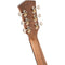 Cort Essence Series Grand Auditorium Acoustic/Electric Guitar (Black Top Semi-Gloss)