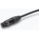 On-Stage Production-Grade Microphone Cables - XLR - XLR - 20'