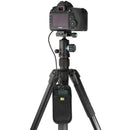 Ruggard RTC-40 Timer-Remote Case for Tripods (Large)