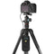 Ruggard RTC-40 Timer-Remote Case for Tripods (Large)