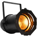 American DJ Z300 RGB LED Par Light