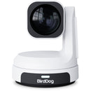 BirdDog MAX UHD 4K Conferencing & Production PTZ Camera (White)
