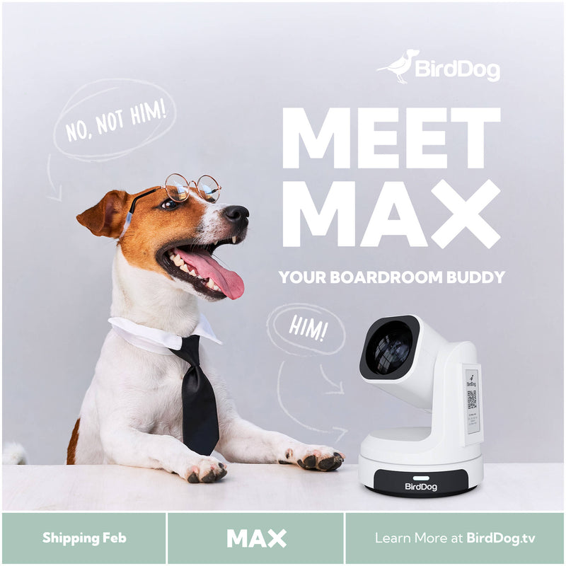 BirdDog MAX UHD 4K Conferencing & Production PTZ Camera (Black)