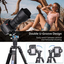 ARTCISE NB34 Low-Profile Ball Head