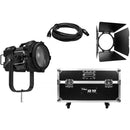 Fiilex Q10 Color-LR LED Light A1 Kit