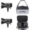 SmallRig RC 220B Pro Bi-Color LED Monolight (2-Light Kit)