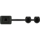 Turtle AV Dual-Channel Dante to Analog XLR Male Adapter