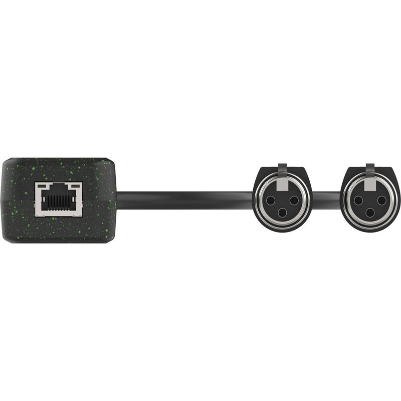 Turtle AV Dual-Channel Analog Female XLR Input to Dante Adapter