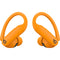 Beats by Dr. Dre Powerbeats Pro 2 Wireless Noise-Canceling Earbuds (Electric Orange)
