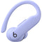 Beats by Dr. Dre Powerbeats Pro 2 Wireless Noise-Canceling Earbuds (Hyper Purple)