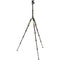 3 Legged Thing Punks Corey 2.0 Magnesium Alloy Tripod with AirHed Neo 2.0 Ball Head (Moss)