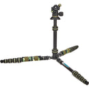 3 Legged Thing Punks Corey 2.0 Magnesium Alloy Tripod with AirHed Neo 2.0 Ball Head (Moss)