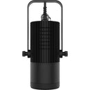 CHAUVET Professional Ovation H-55WW White Warm LED House Light (Black)