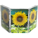 Canetti Design Group Triple Magnet 4 x 6" Frame (Clear, Vertical)