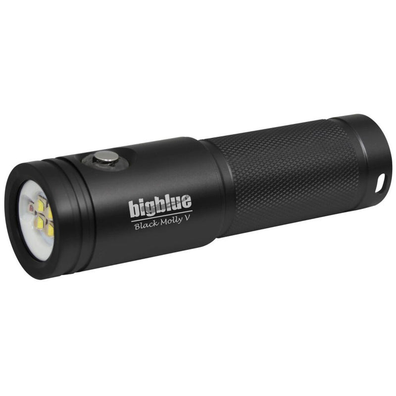 Bigblue Black Molly VII with Hard Case (Black)