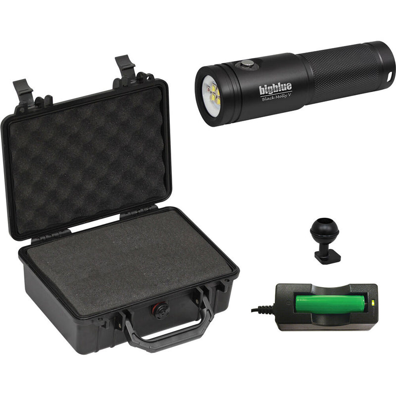 Bigblue Black Molly VII with Hard Case (Black)