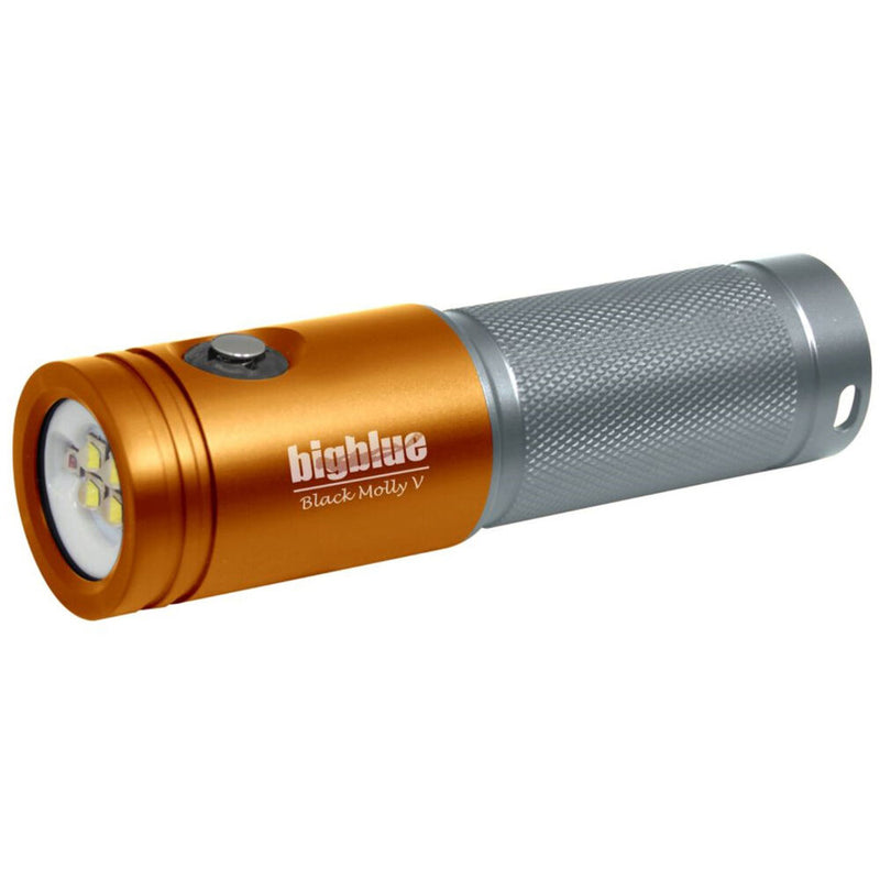 Bigblue Black Molly VII with Case and Single-Arm Camera Tray (Orange)