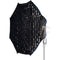 amaran Octa Dome 120 (4')
