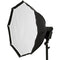 Quantum Instruments QF19 Octa Softbox Kit (20")