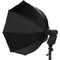 Quantum Instruments QF19 Octa Softbox Kit (20")