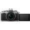Nikon Zfc Mirrorless Camera with 16-50mm f/3.5-6.3 Lens (Crimson Red)