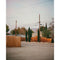 Flic Film Aurora 400 Color Negative Film (35mm Roll Film, 36 Exposures)