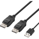 Belkin Modular DisplayPort Dual-Head Host Cable (6')