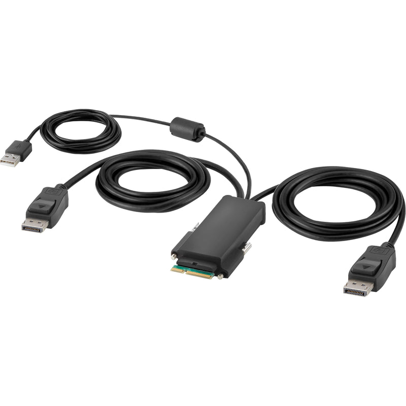 Belkin Modular DisplayPort Dual-Head Host Cable (6')