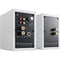 Audioengine A2+ Next Gen Wireless Bluetooth Speaker System (Hi-Gloss Piano White, Pair)