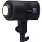 Elinchrom LED 100 C RGB LED Monolight (Dual-Light Kit)