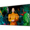 Samsung QB85C-N 85" UHD 4K HDR Commercial Monitor without Wi-Fi