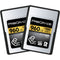 ProGrade Digital 960GB CFexpress 2.0 Type A Gold Memory Card (2-Pack)
