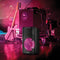ION Audio Trouper 300 Battery Powered Portable Speaker System with Lights and Wired Mic