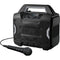 ION Audio Sport Boom All-Weather Rechargeable Speaker with Microphone