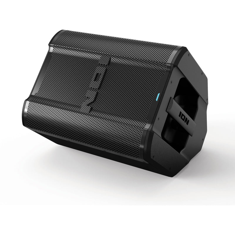 ION Audio Trouper 100 Battery-Powered Portable Speaker System with Bluetooth, FM Radio, and Wired Mic