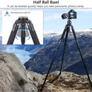 ARTCISE AS88C Carbon Fiber Tripod with 75mm Bowl (Black)