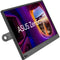 ASUS ZenScreen MB169CK 15.6" Portable Monitor