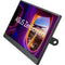 ASUS ZenScreen MB169CK 15.6" Portable Monitor