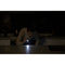 Olight I3E EOS Flashlight (Blue Porcelain)