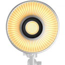 SmallRig RC 100B Bi-Color LED Monolight (Pro Version)