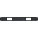 Lowell Manufacturing Rack Panel for 2 Decorator Devices (1 RU)