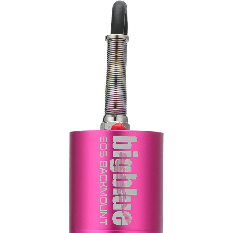 Bigblue EOS Canister Backmount Only (Pink)