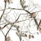 LensCoat Cover for Vortex Razor 85 HD Straight Scope (Realtree Snow)