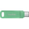 SanDisk 1TB Ultra Dual Drive Go 2-in-1 Flash Drive (Absinthe Green)