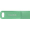 SanDisk 1TB Ultra Dual Drive Go 2-in-1 Flash Drive (Absinthe Green)