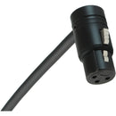 Cable Techniques Low-Profile Right Angle XLR-3F to Straight 1/4" TRS Male Patch Cable (3')
